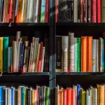 Trabajar en Bibliotecas: Oportunidades sin Oposiciones